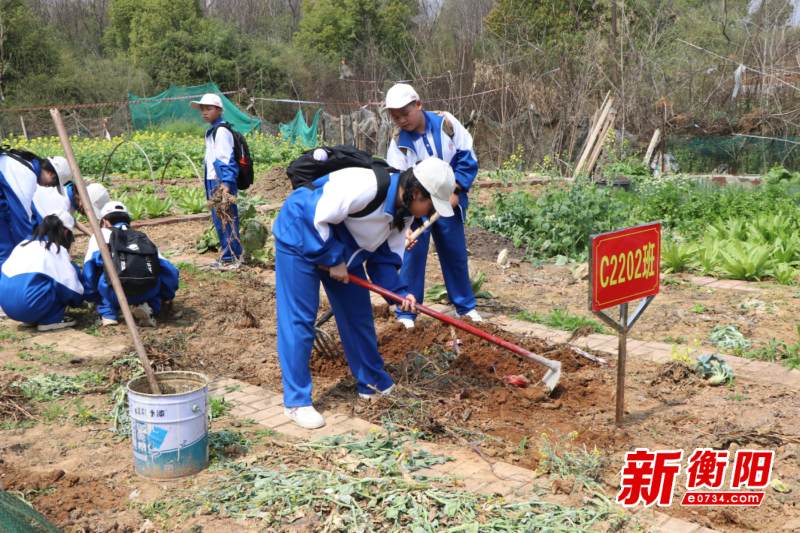 您所在的位置>首页>教育频道>教育资讯>正文:学校每周设置一节劳动