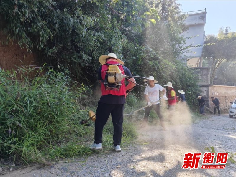衡阳县市田村:干群合力除草清障，畅通乡村“民心路”