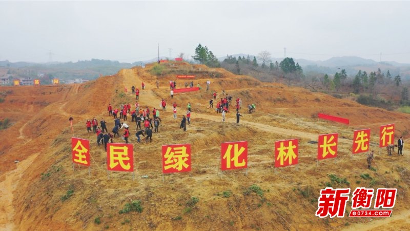 衡阳县100余名党员干部油茶基地植树造林助力乡村振兴