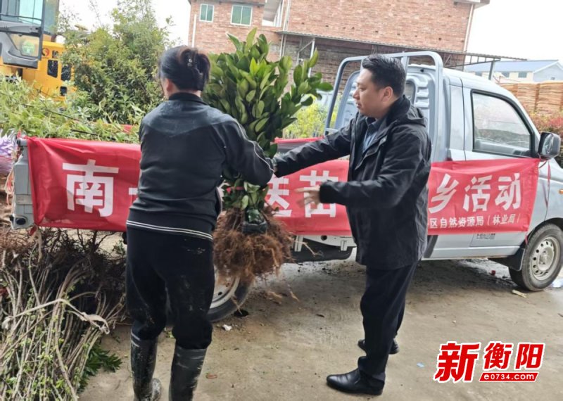 优质苗木2.5万株，南岳区自然资源局开展送苗木下乡活动