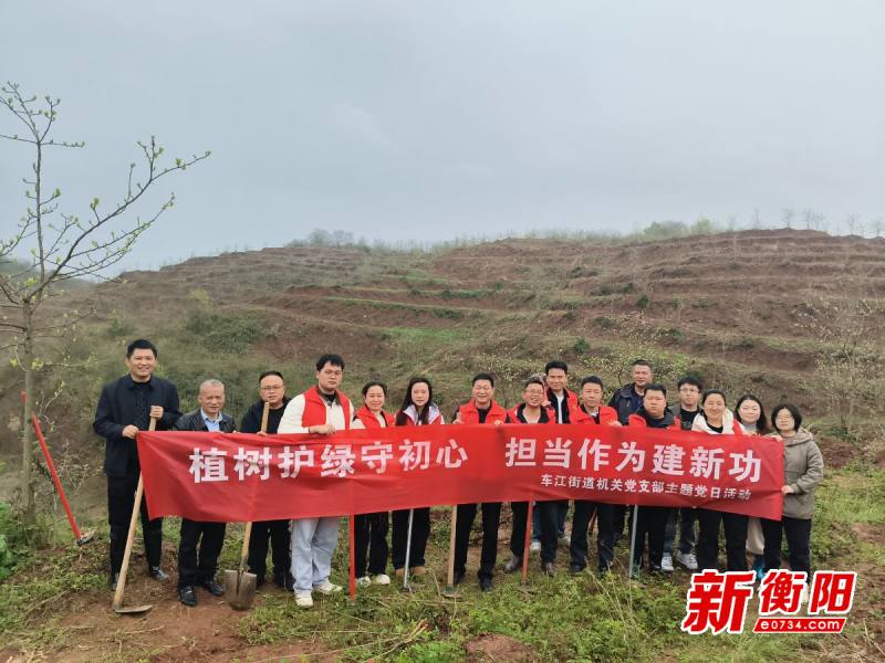 车江街道开展植树主题党日活动 以实干之举为辖区添绿增色