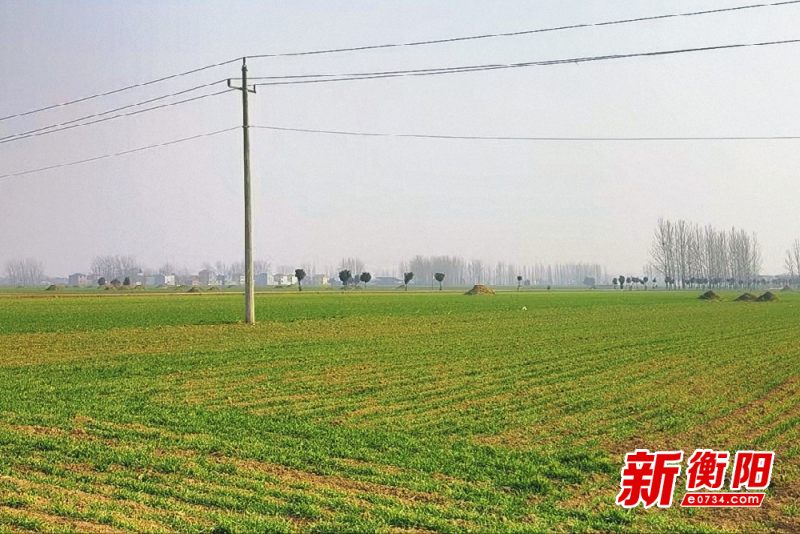 耒阳农商银行：100万元“乡村振兴-产业贷”精准滴灌 助力春耕备耕