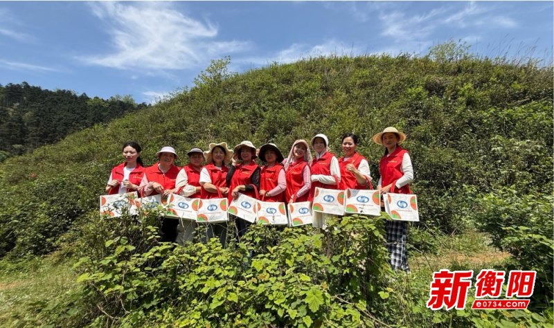 祁東幫幫團(tuán)巾幗助力 助農(nóng)采茶代言暖民心