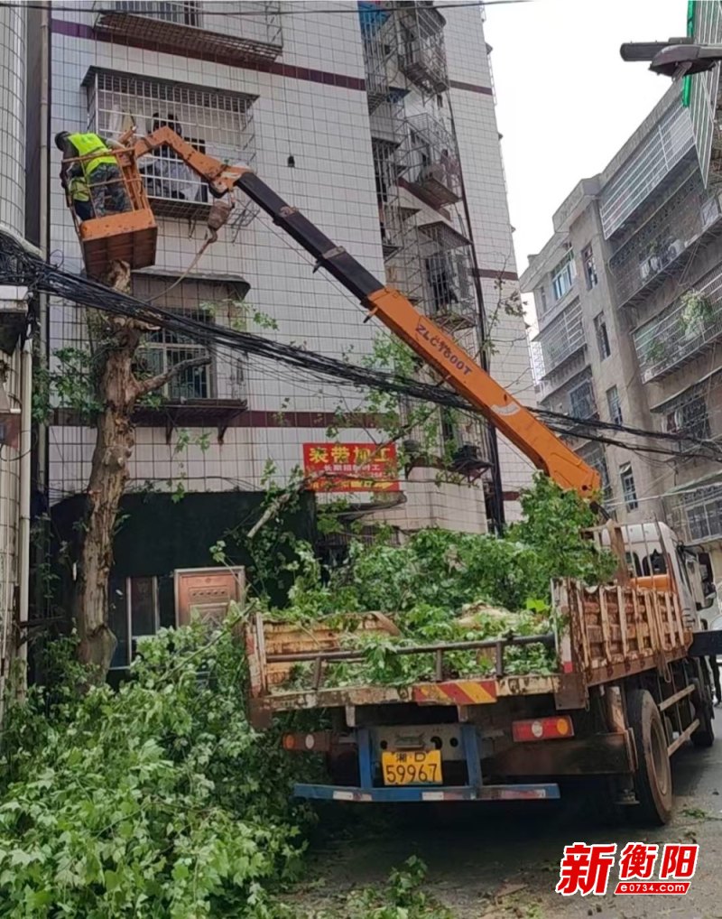 衡陽(yáng)縣園林綠化所：以“快”破局 為群眾辦實(shí)事解難題